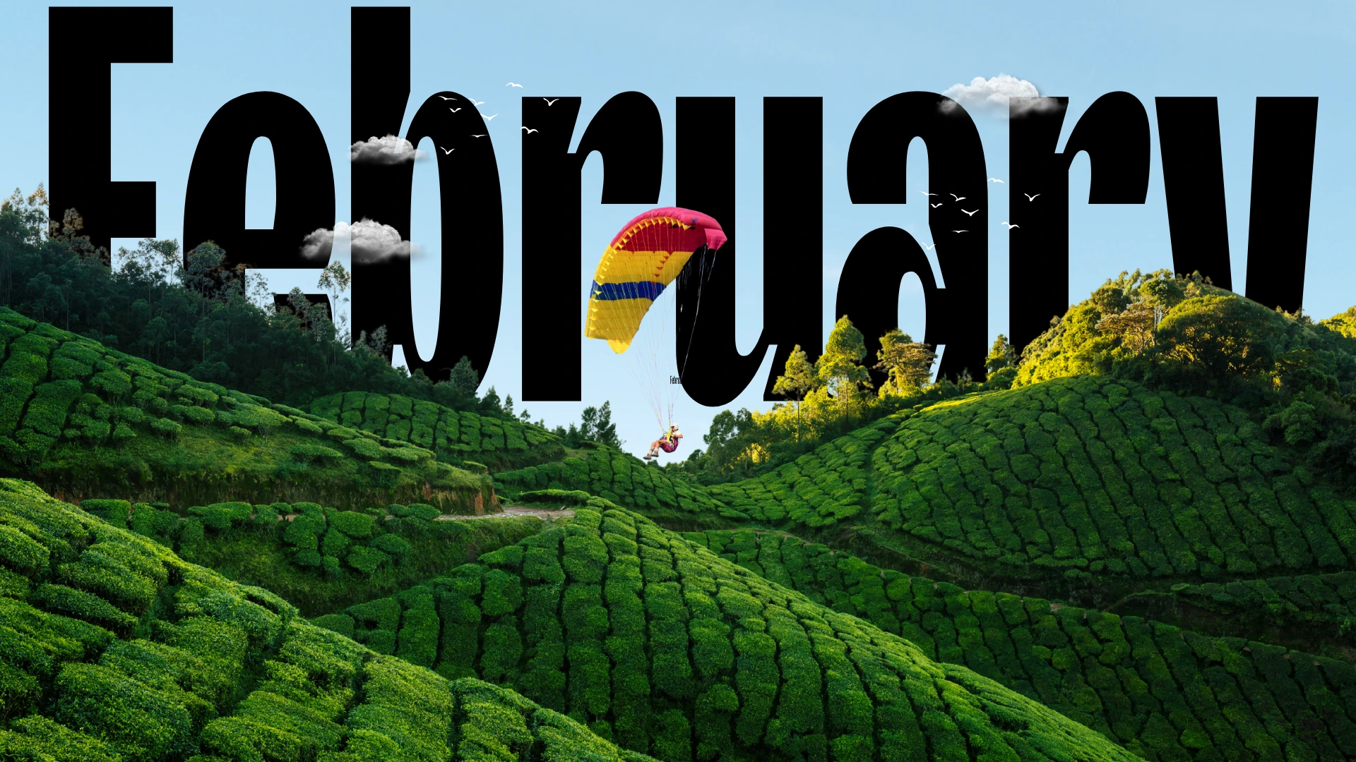 Best Places to Visit in India in February: A Perfect Month for Travel